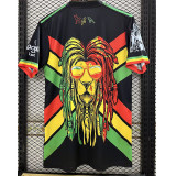 23-24 Ajax Special Edition Fans Soccer Jersey