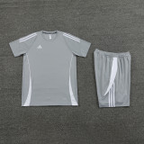 2024 AD06 Grey Training Short Suit