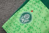 24-25 Palmeiras Green Training Short Suit