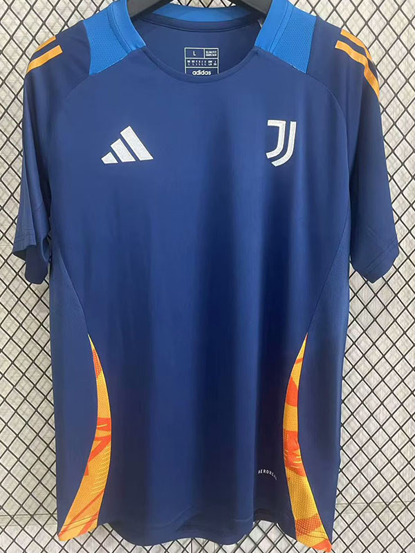 25-26 JUV Royal Blue Training Shirts