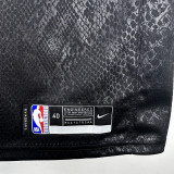 Lakers JAMES JR. #9 Black Top Quality Hot Pressing NBA Jersey(蛇纹)