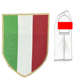 23-24 Napoli Special Editio Fans Soccer Jersey