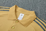 25-26 Argentina Earthy Gold Polo Tracksuit