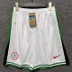 24-25 Nigeria Away Shorts Pants
