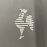 24-25 Atletico Mineiro Gray Training shirts