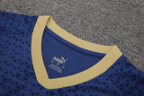 24-25 Palmeiras Royal blue Training Short Suit