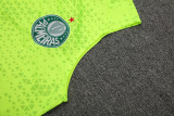 24-25 Palmeiras Fluorescent green Tank top and shorts suit