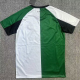 24-25 Feyenoord Third Fans Soccer Jersey