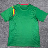 24-25 Cameroon Home Fans Soccer Jersey