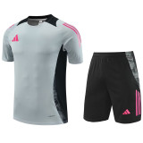 2024 AD Grey Training Short Suit