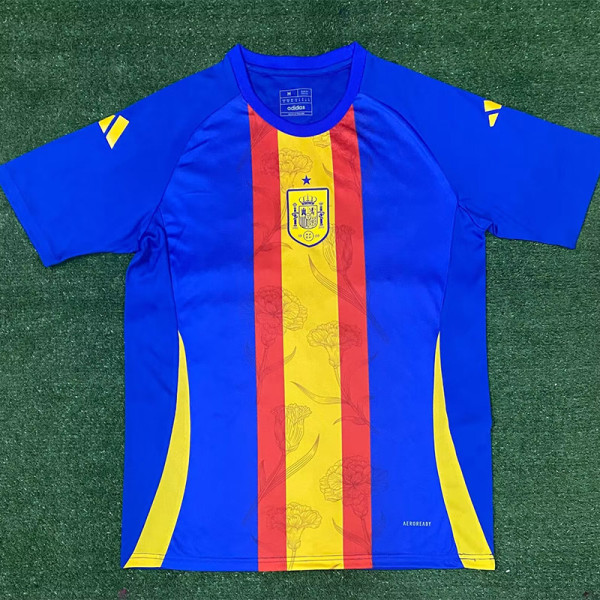 24-25 Spain Blue Training shirts