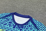 24-25 Brazil Fancy blue Training Short Suit