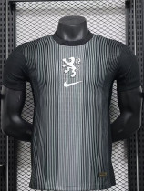 25-26 Netherlands Black Special Edition Player Version Soccer Jersey