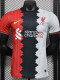 24-25 LIV Special Edition Player Version Training Shirts *三混色