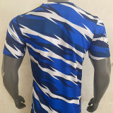 24-25 Scotland Blue Training shirts