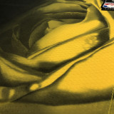 22-23 WARRIORS POOLE #3 Black City Edition Top Quality Hot Pressing NBA Jersey