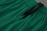 24-25 Palmeiras Green Training Short Suit
