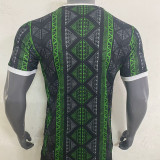 23-24 Nigeria Gsub-green Training shirts