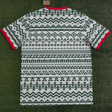 23-24 Nigeria Green-white Training shirts