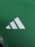 23-24 Algeria Green Special Edition Player Version Soccer Jersey (没图案)