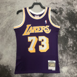 1998-99 LAKERS RODMAN #73 Purple Retro Top Quality Hot Pressing NBA Jersey(圆领）