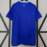 24-25 Argentina Away 1:1 Fans Soccer Jersey #FWCC