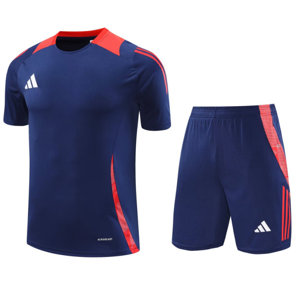 2024 AD Royal blue Training Short Suit