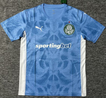 25-26 Palmeiras Blue Goalkeeper Soccer Jersey