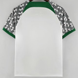 22-23 Nigeria Away Fans Soccer Jersey