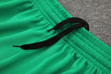 24-25 Palmeiras Fluorescent green Training Short Suit