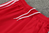 24-25 Bayern Red Jacket Tracksuit
