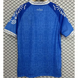 24-25 BaHia Commemorative Edition Fans Soccer Jersey