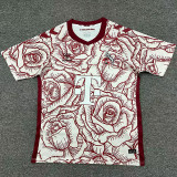 24-25 Koln Brown Red Special Edition Fans Soccer Jersey