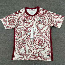 24-25 Koln Brown Red Special Edition Fans Soccer Jersey