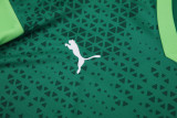 24-25 Palmeiras Green Training Short Suit