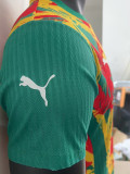 24-25 Senegal Red Yellow Green Player Version Training shirts