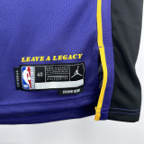 22-23 LAKERS JAMES JR. #9 Purple Top Quality Hot Pressing NBA Jersey (Trapeze Edition) 飞人版