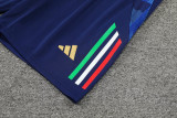 24-25 Italy Royal blue Training Shorts Pants