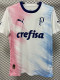 23-24 Palmeiras White Pink Blue Special Edition Training shirts