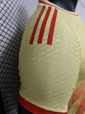 24-25 Spain Yellow Special Edition Player Version Soccer Jersey