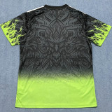 25-26 LIV Black Green Special Edition Fans Training shirts