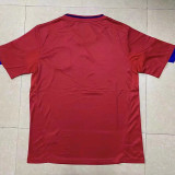 2010 Spain Home Retro Soccer Jersey