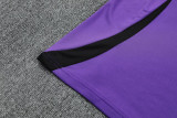 25-26 Germany Purple Polo Tracksuit