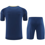24-25 Palmeiras Royal blue Training Short Suit
