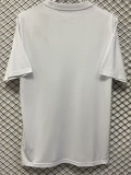 23-24 PSG White Special Edition Training Shirts (广告渐变版)