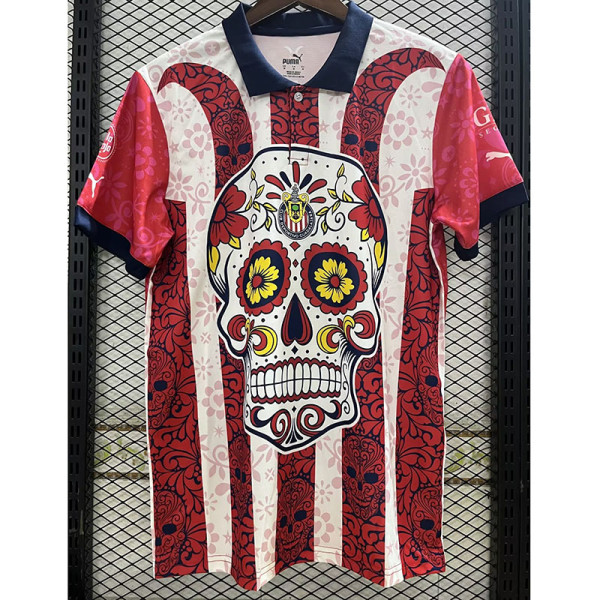 23-24 Chivas Special Edition Fans Soccer Jersey