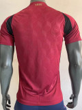 24-25 Belgium Home Player Version Soccer Jersey