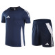 2024 AD Royal blue Training Short Suit