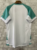 2023 South Africa RUGBY WORLD CUP Away Rugby Jersey (世界杯版)