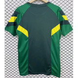 24-25 Celtic Green Special Edition Training Shirts